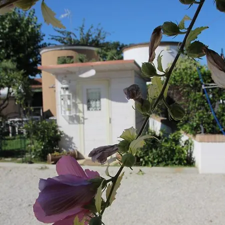 Sogni D'oro Milena Bed & Breakfast Civitanova Marche