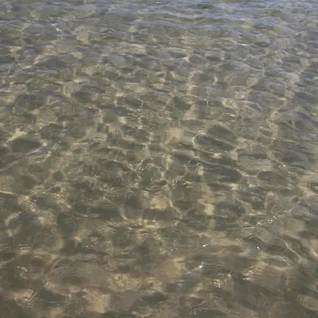 Sogni D'oro Milena Civitanova Marche