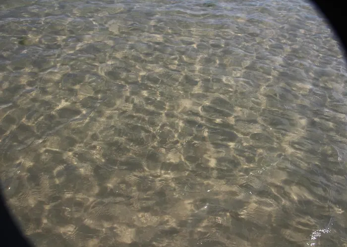 Sogni D'oro Milena Civitanova Marche